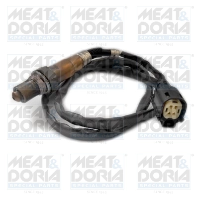 Oxygen Sensor